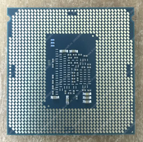 Socket 1151 Intel Celeron G3930 Kaby Lake (2900MHz, LGA1151, L3 2048Kb)