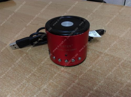 Портативная колонка Wster WS-138RC