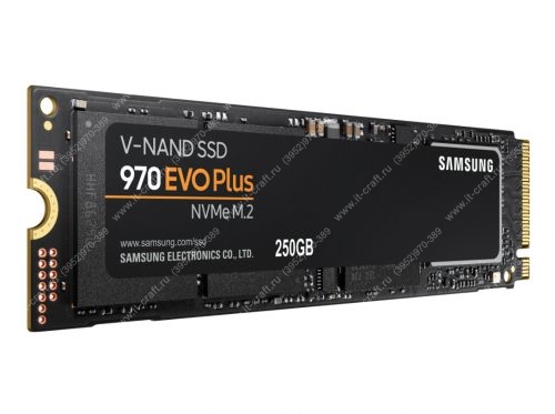 SSD M2 256Gb Samsung 970 EVO Plus [MZ-V7S250BW]